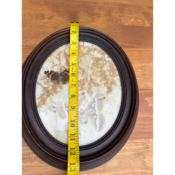 Vintage pressed butterfly and flower simple oval wood frame bubble glass - Picture 13 of 16